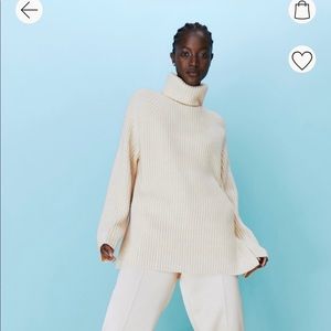 H&M ribbed turtleneck sweater
